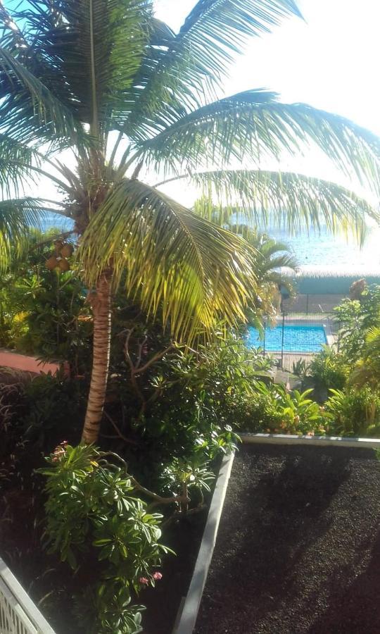 Studio En Bord De Mer Avec Piscine Privee Gourbeyre Exterior foto