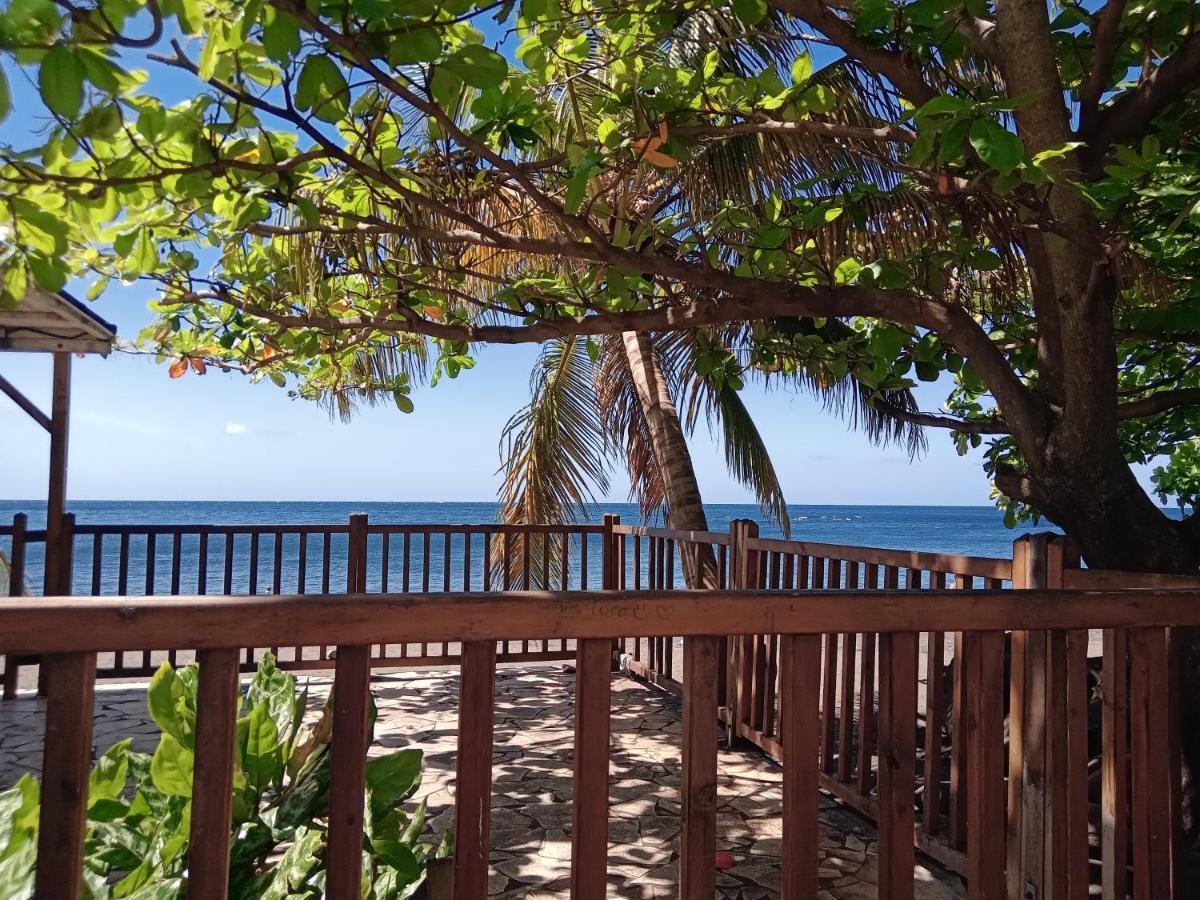 Studio En Bord De Mer Avec Piscine Privee Gourbeyre Exterior foto